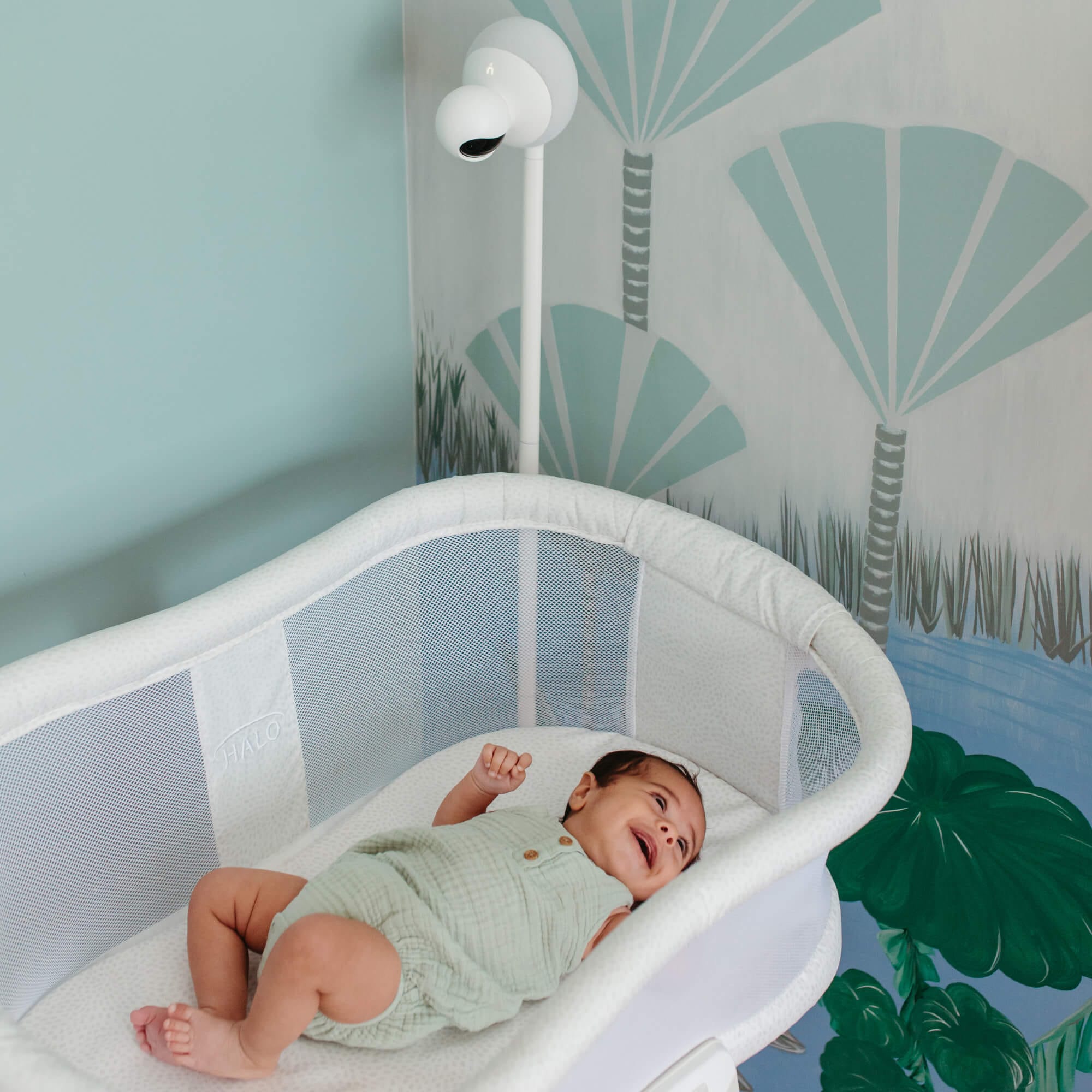 Aura bassinet hotsell